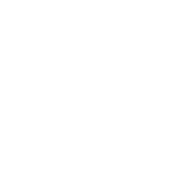 OnlySpin 2026 site logosu